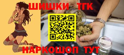 прущие грибы Можга