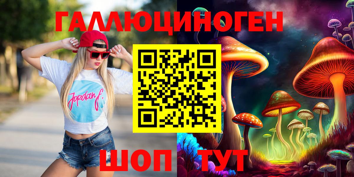 Северобайкальск  Псилоцибиновые грибы Psilocybe  Вход с VPN 