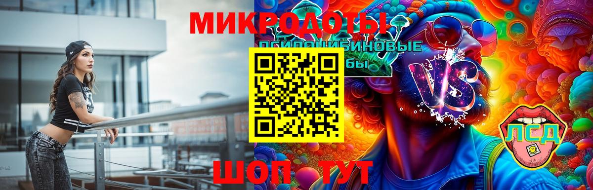 Псилоцибиновые грибы GOLDEN TEACHER Северобайкальск